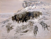 Rockwell Museum