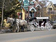 5899-Horse-drawn-carriage.jpg