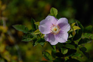 Deception-Pass-9113.jpg