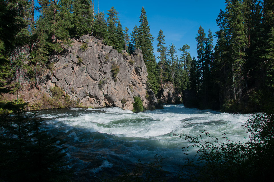 _DSC2674.jpg