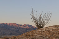 Borrego Springs