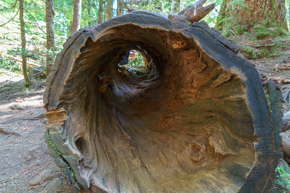 _DSC7685.jpg