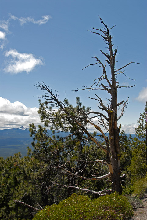 06-7690.jpg