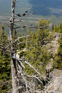 11-On-Odell-Butte-7703.jpg