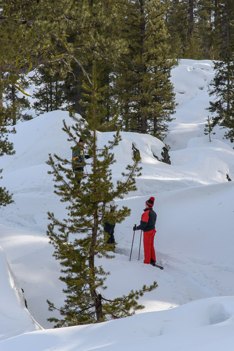 _DSC3382.jpg