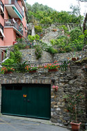 16-A-garden-in-Monterosso-0675.jpg