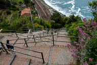 58-The-steps-up-to-Corniglia-0746.jpg