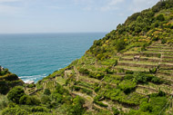 62-Terraces-along-the-sea-0750.jpg