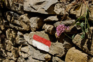 66-The-trail-marker-0764.jpg