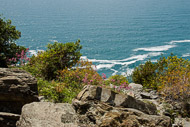 70-Along-the-trail-to-Vernazza-0767.jpg