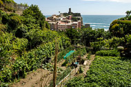 88-A-look-back-at-Vernazza-0796.jpg
