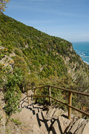 94-Looking-back-along-a-tougher-trail-to-Monterosso-0803.jpg