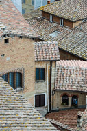 76-Rooftop-detail-from-the-Panorama-del-Facciatone-0976.jpg