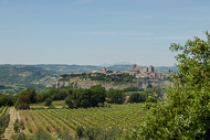 28-Orvieto-from-Tenuta-Le-Velette-1096.jpg