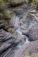 Watkins Glen State Park NY 0761-Watkins-Glen-State-Park-NY-4507.jpg