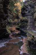 Watkins Glen State Park NY 0770-Watkins-Glen-State-Park-NY-4516.jpg