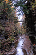 Watkins Glen State Park NY 0771-Watkins-Glen-State-Park-NY-4517.jpg