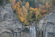 Taughannock Falls State Park NY 0850-Taughannock-Falls-State-Park-NY-4585.jpg