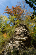 Cascadilla Creek Gorge - Ithaca NY 0897-Cascadilla-Creek-Gorge---Ithaca-NY-4617.jpg