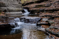 Buttermilk Falls State Park - Ithaca NY 0963-Buttermilk-Falls-State-Park---Ithaca-NY-4676.jpg