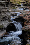 Buttermilk Falls State Park - Ithaca NY 0964-Buttermilk-Falls-State-Park---Ithaca-NY-4677.jpg