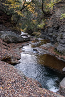 Buttermilk Falls State Park - Ithaca NY 0966-Buttermilk-Falls-State-Park---Ithaca-NY-4679.jpg