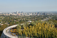 A view over the Cactus Garden Wrightway-CA-9707.jpg
