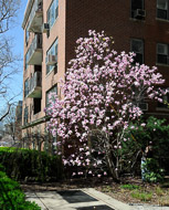 Along our stroll to Washington Square East-Coast-0480.jpg