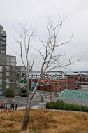 'Split' (2003, Polished stainless steel) - Roxy Paine Seattle-1973.jpg