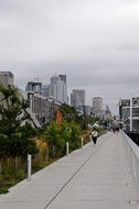 There are both walking and bicycling paths along Puget Sound past the sculpture park and through downtown. I don't know how far north and south the paths go. Seattle-2029.jpg
