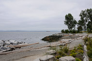 The shore near the Olympic Sculpture Park Seattle-2021.jpg