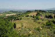 28-The-Tuscan-countryside-from-San-Gimignano-0874.jpg