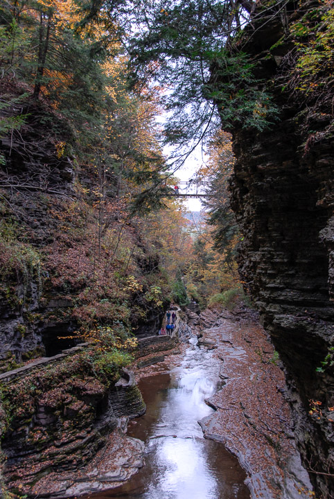 0771-Watkins-Glen-State-Park-NY-4517.jpg