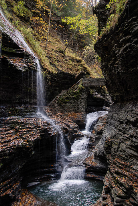 0784-Watkins-Glen-State-Park-NY-4530.jpg