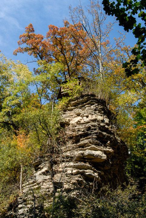 0897-Cascadilla-Creek-Gorge---Ithaca-NY-4617.jpg