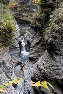 0758-Watkins-Glen-State-Park-NY-4504.jpg