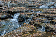 0891-Cascadilla-Creek-Gorge---Ithaca-NY-4611.jpg