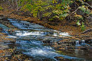 0910-Cascadilla-Creek-Gorge---Ithaca-NY-4630.jpg