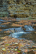 0915-Cascadilla-Creek-Gorge---Ithaca-NY-4635.jpg