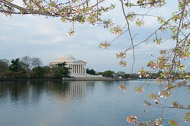 East-Coast-0111.jpg