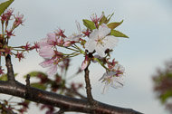 East-Coast-0128.jpg