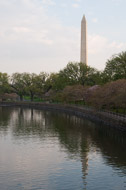 East-Coast-0137.jpg