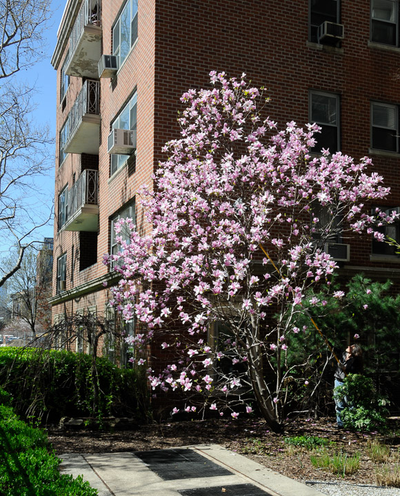 East-Coast-0480.jpg