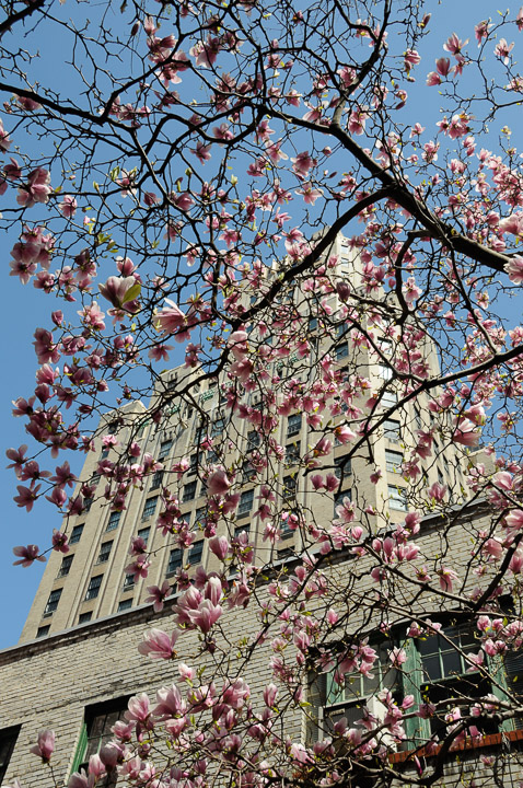 East-Coast-0492.jpg