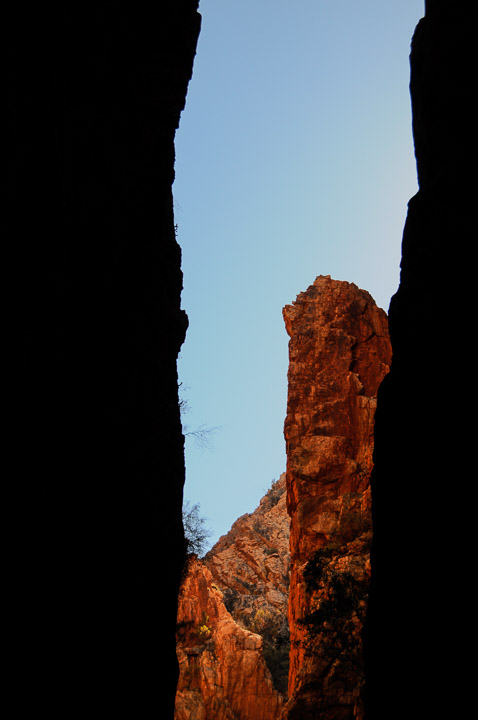 _DSC2513.jpg