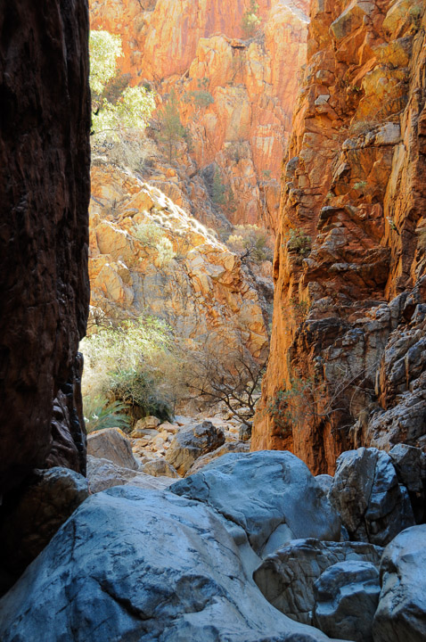 _DSC2519.jpg