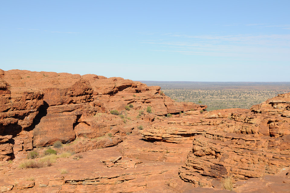 _DSC2725.jpg
