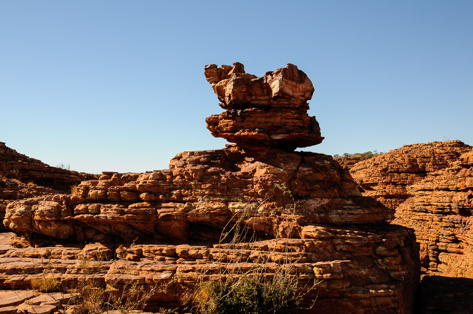 _DSC2728.jpg