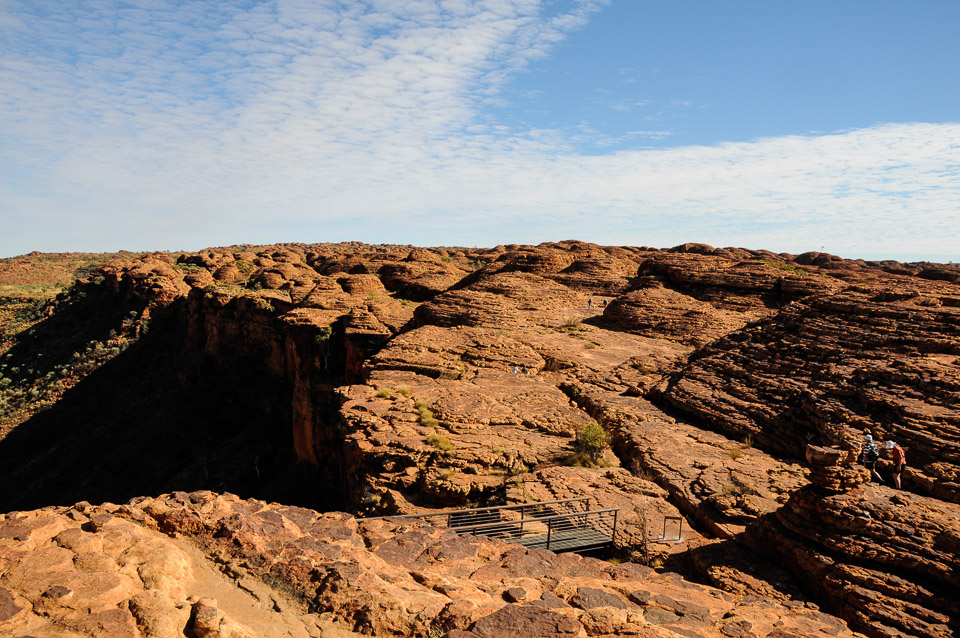 _DSC2739.jpg