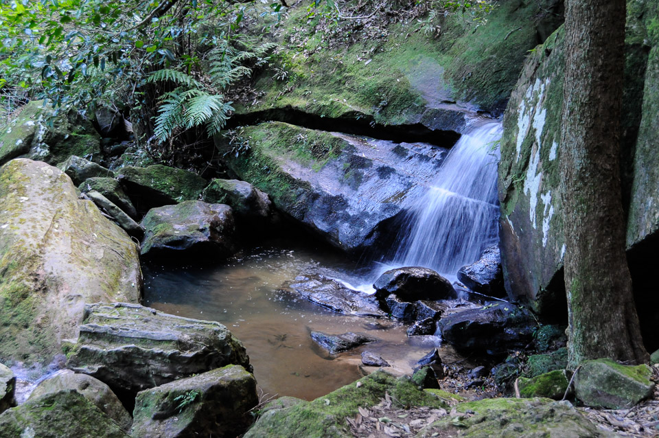 _DSC4682.jpg